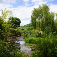 A day at the gardens of Giverny